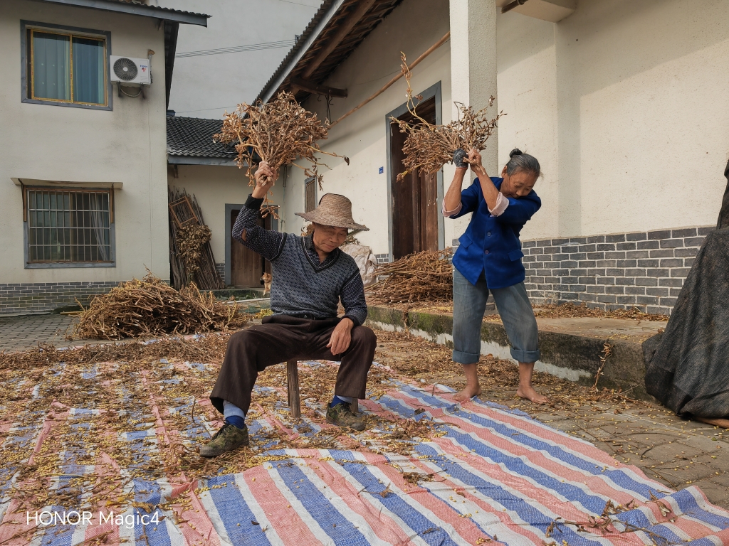 4a7f273c554f4f4c775d0cc8678aaa49_202311010130206541e26c53090