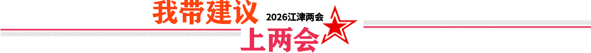 我带建议上两会